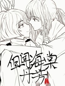 猫咪永久网站入